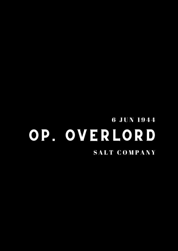 T-SHIRT "OVERLORD" - Imagem 4